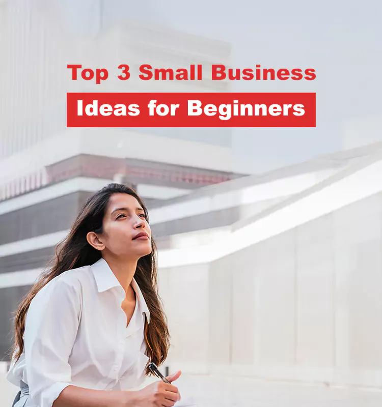 Top 3 Small Business Ideas for Beginners