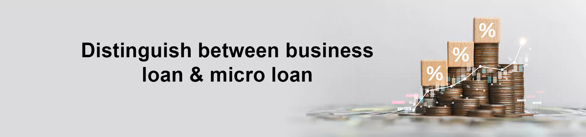 Distinguish between business loan and micro loan.