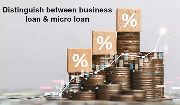 Distinguish between business loan and micro loan.