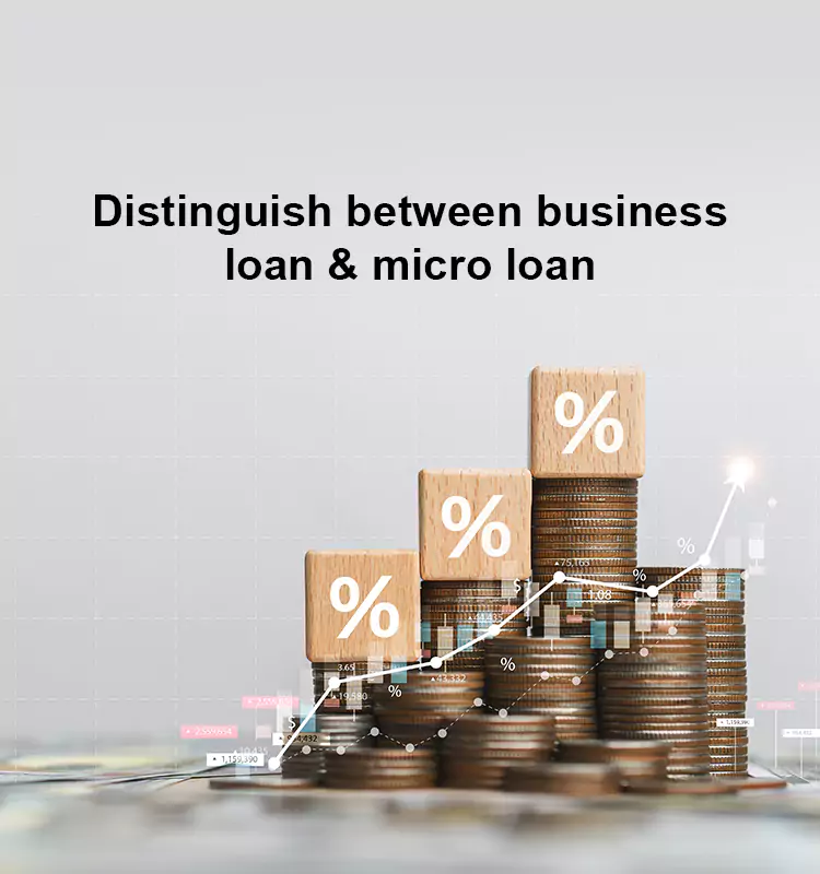 Distinguish between business loan and micro loan.