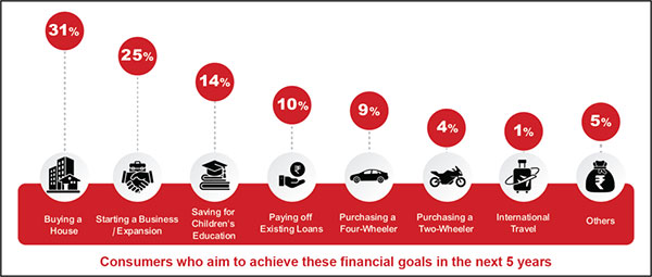 Reasons for borrowing
